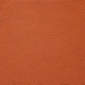 SpinaliS - farba potahu oranzova - latka rena