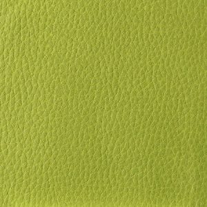 SpinaliS - farba potahu zltozelena - latka rena+
