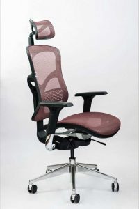 Spinergo Business bordová 710 €
