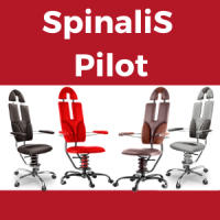 SpinaliS Pilot
