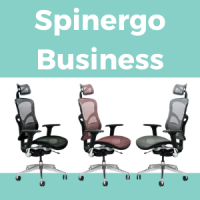 Spinergo Business
