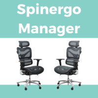 Spinergo Manager